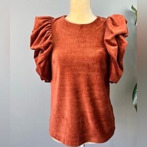 THML capped puff sleeve top in a rust/brown velvet-like material XS